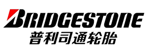 無錫市愛維絲科技有限公司